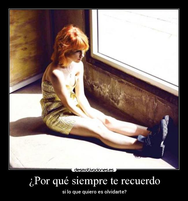 carteles lolololovivahayleywilliamstengofriott dame una puta manta desmotivaciones