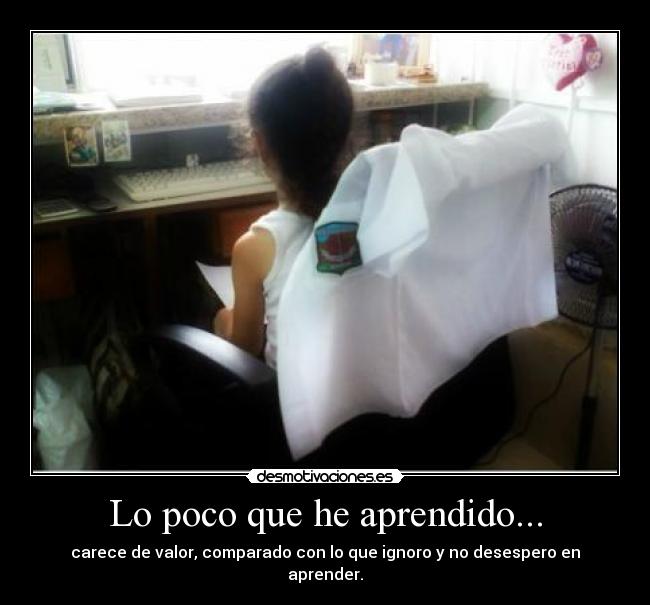 Lo poco que he aprendido... -