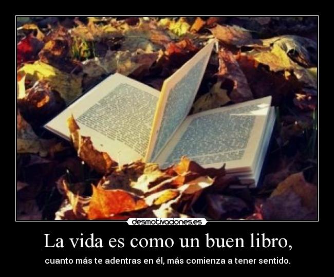 La vida es como un buen libro, - cuanto más te adentras en él, más comienza a tener sentido.