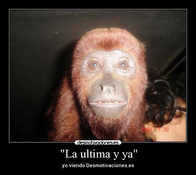La ultima y ya - 