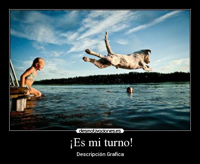 ¡Es mi turno! - Descripción Grafica