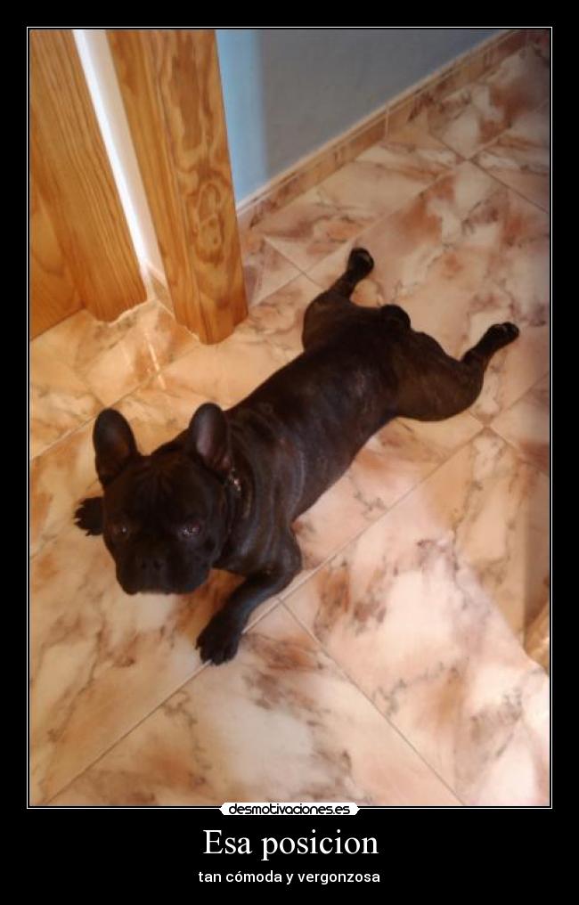 Esa posicion - tan cómoda y vergonzosa