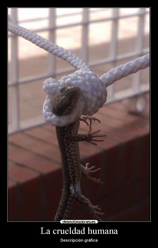 La crueldad humana -