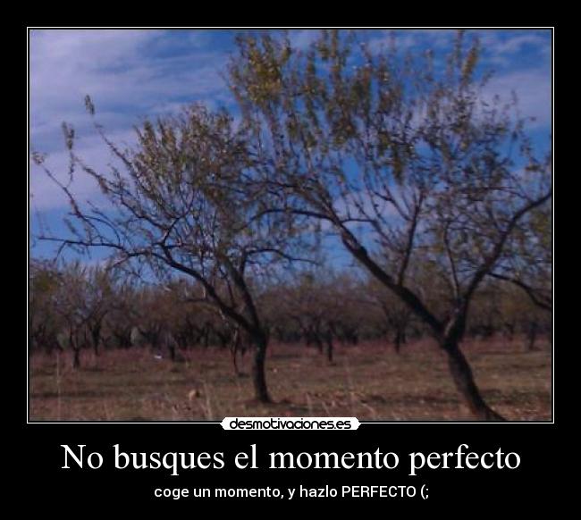 No busques el momento perfecto -