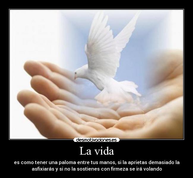 La vida - es como tener una paloma entre tus manos, si la aprietas demasiado la
asfixiarás y si no la sostienes con firmeza se irá volando