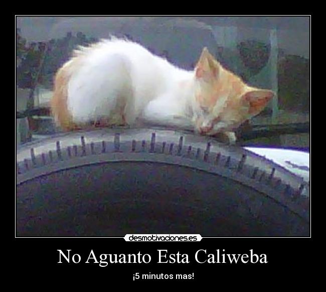 No Aguanto Esta Caliweba - ¡5 minutos mas!