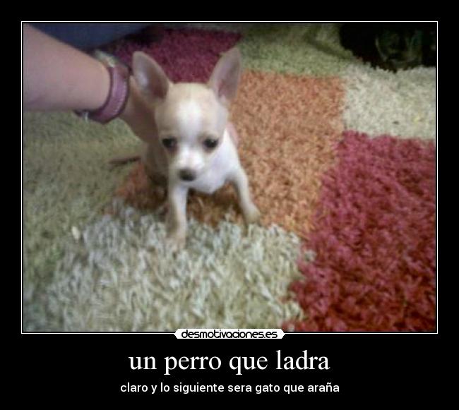 un perro que ladra -