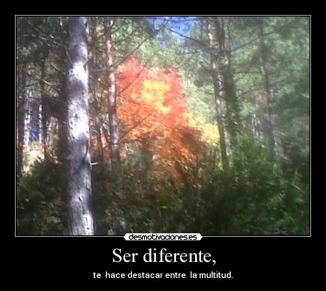 Ser diferente, - 