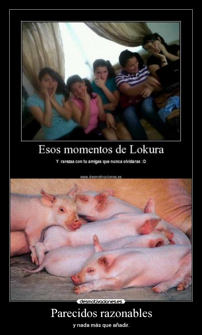 Parecidos razonables - 