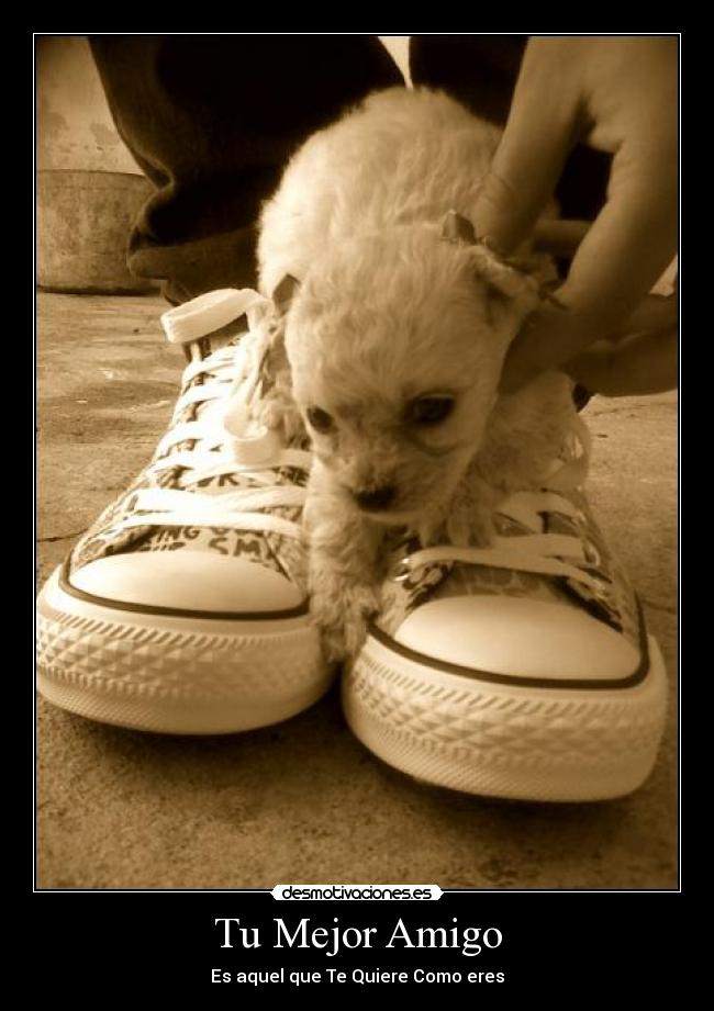 Tu Mejor Amigo -