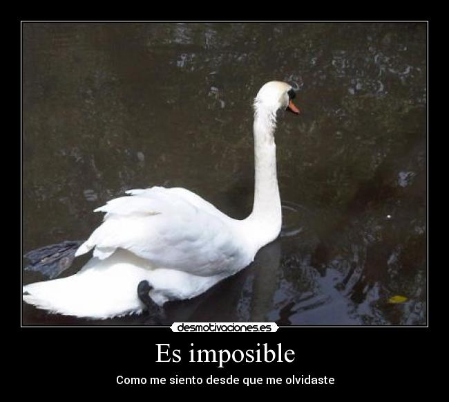 carteles imposible lia dember desmotivaciones