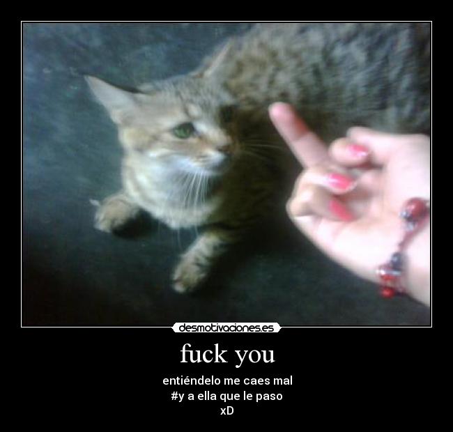 fuck you - 