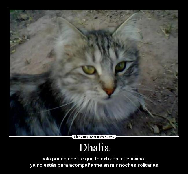 Dhalia - solo puedo decirte que te extraño muchisimo...
ya no estás para acompañarme en mis noches solitarias