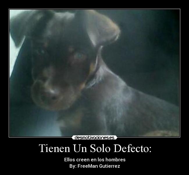 Tienen Un Solo Defecto: -