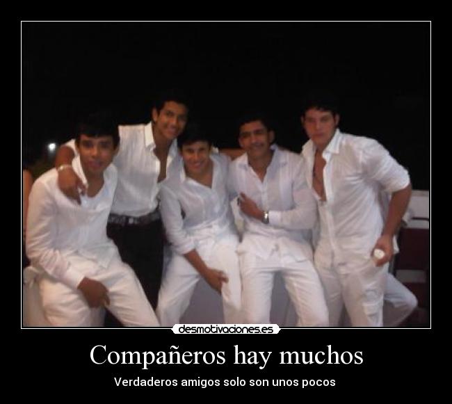 Compañeros hay muchos - 