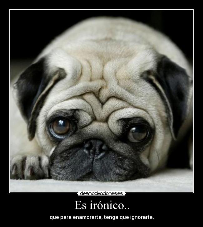 Es irónico.. - 