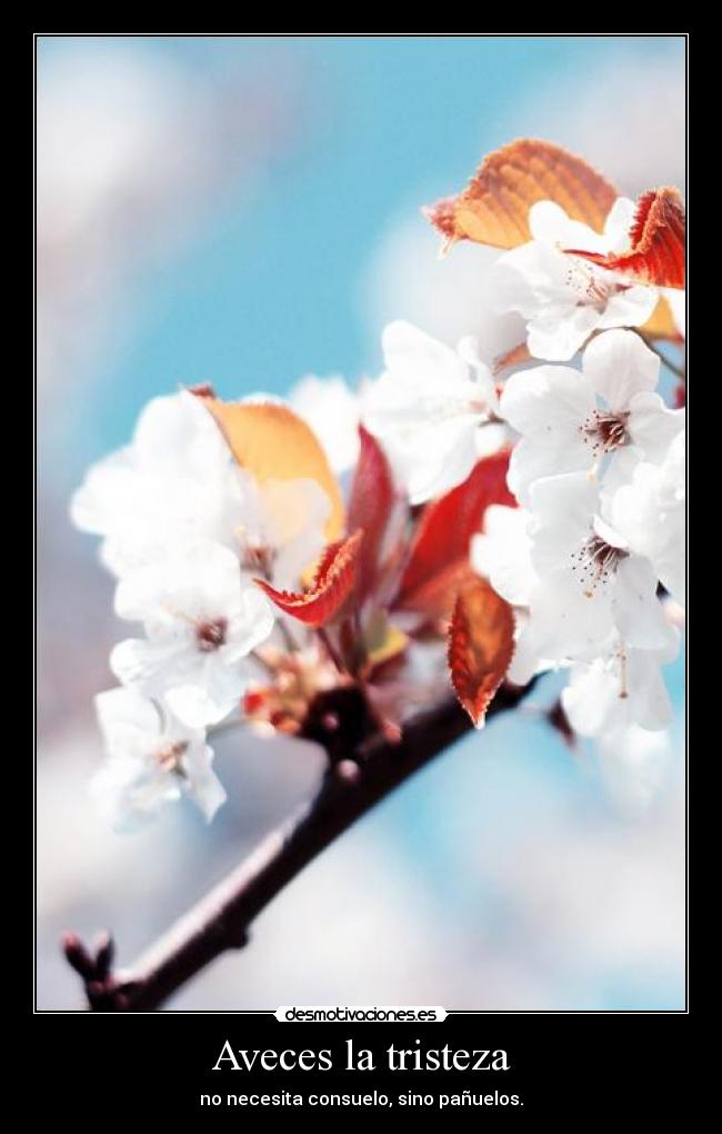 Aveces la tristeza - no necesita consuelo, sino pañuelos.