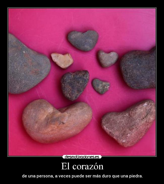 El corazón -