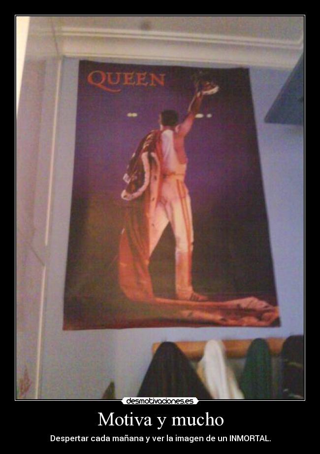 Motiva y mucho - Despertar cada mañana y ver la imagen de un INMORTAL.
