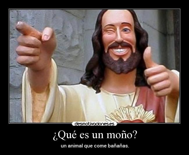 ¿Qué es un moño? - 