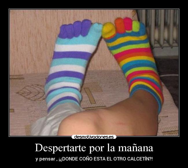 Despertarte por la mañana - y pensar , ¡¿DONDE COÑO ESTA EL OTRO CALCETÍN?!
