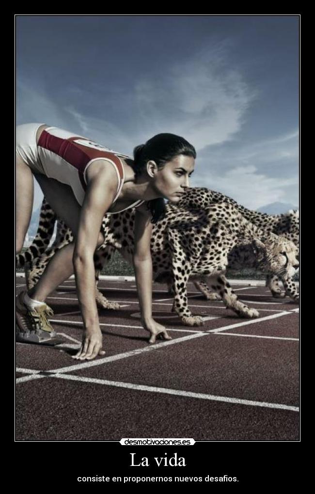 La vida - consiste en proponernos nuevos desafios.