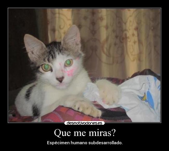 carteles grr desmotivaciones