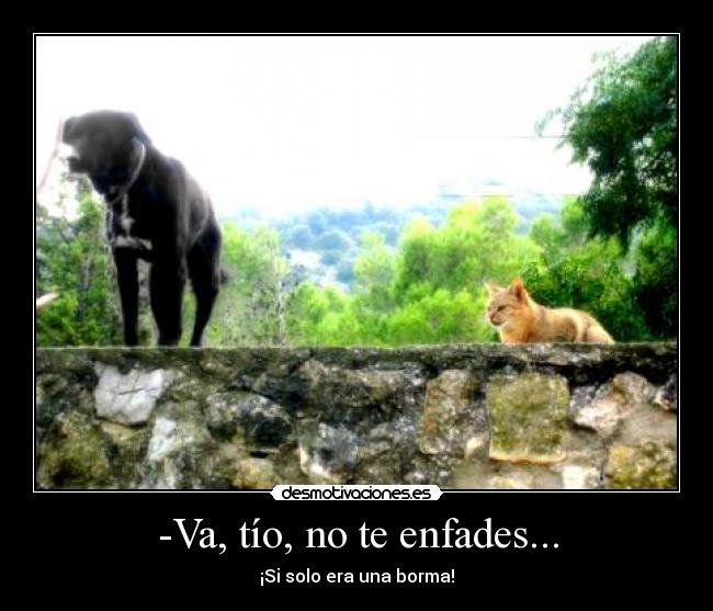 -Va, tío, no te enfades... - 