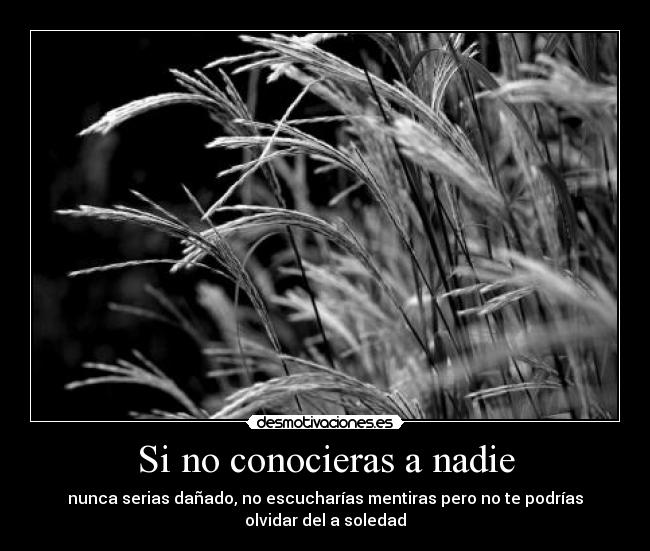 carteles soledad desmotivaciones