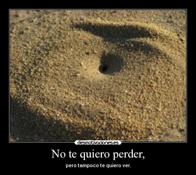 No te quiero perder, - pero tampoco te quiero ver.