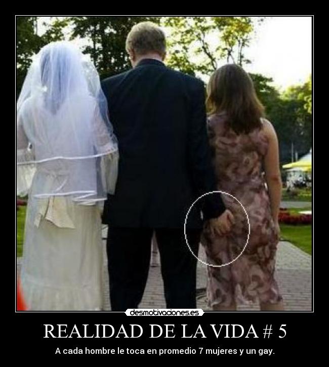 REALIDAD DE LA VIDA # 5 - A cada hombre le toca en promedio 7 mujeres y un gay.
