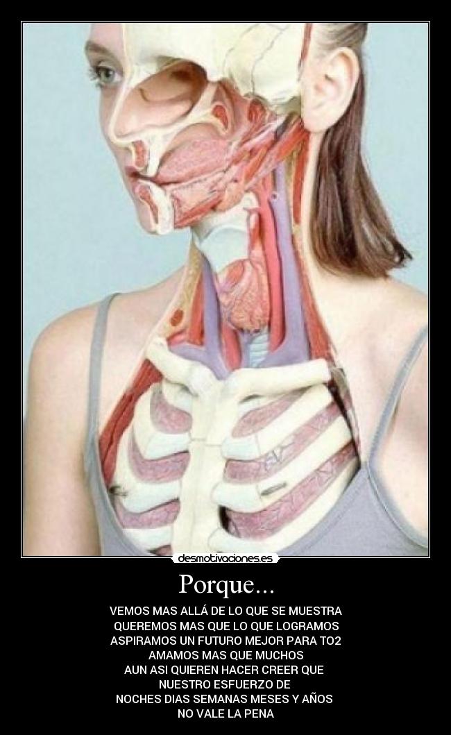 Porque... - VEMOS MAS ALLÁ DE LO QUE SE MUESTRA
QUEREMOS MAS QUE LO QUE LOGRAMOS
ASPIRAMOS UN FUTURO MEJOR PARA TO2
AMAMOS MAS QUE MUCHOS
AUN ASI QUIEREN HACER CREER QUE
NUESTRO ESFUERZO DE
NOCHES DIAS SEMANAS MESES Y AÑOS
NO VALE LA PENA