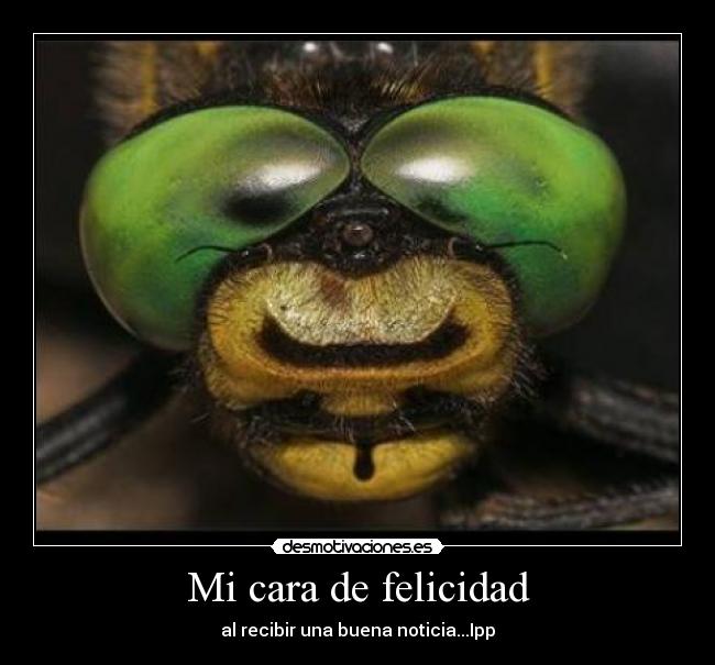 Mi cara de felicidad - al recibir una buena noticia...Ipp