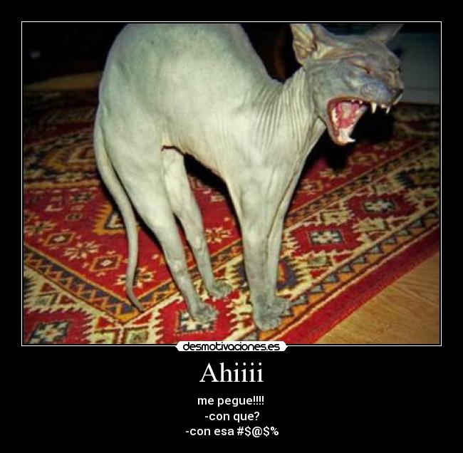 carteles  desmotivaciones