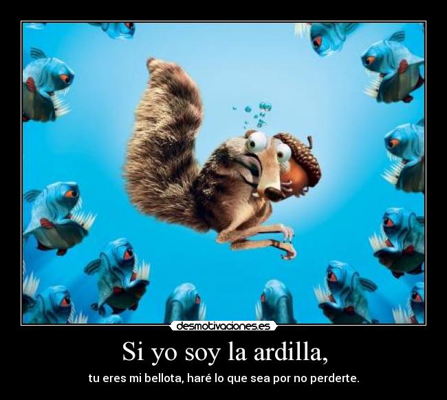 Si yo soy la ardilla, -