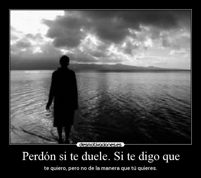 carteles perdoname desmotivaciones