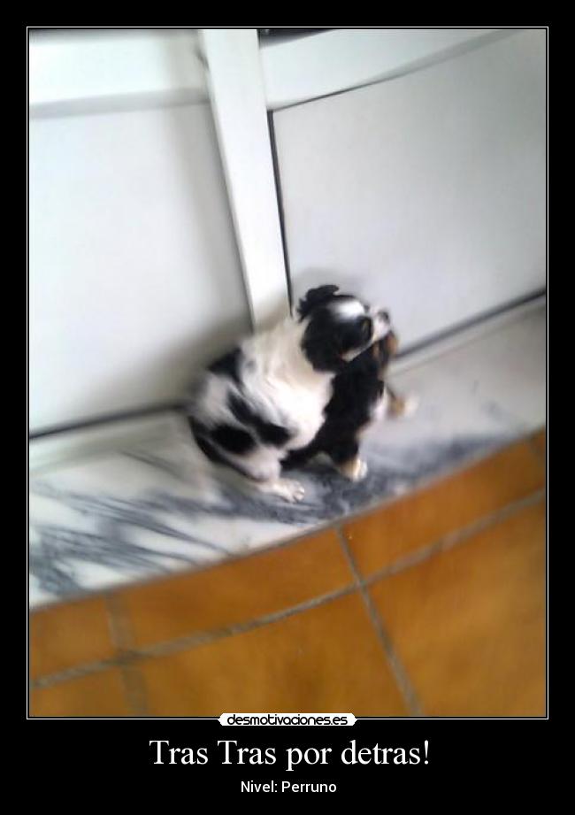 Tras Tras por detras! -