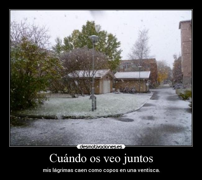 Cuándo os veo juntos -