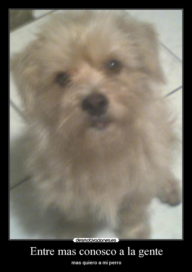 Entre mas conosco a la gente - 