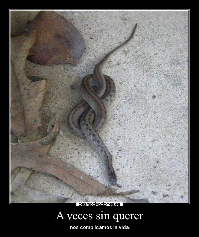 A veces sin querer - nos complicamos la vida.