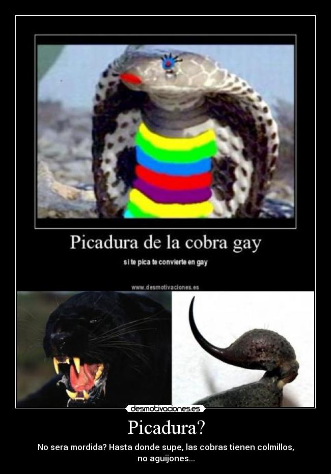 carteles picadura mordida cobra gay desmotivaciones