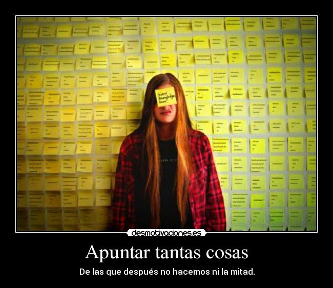 carteles somos vagos desmotivaciones