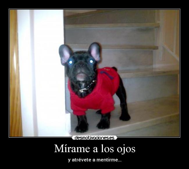 Mírame a los ojos - y atrévete a mentirme...