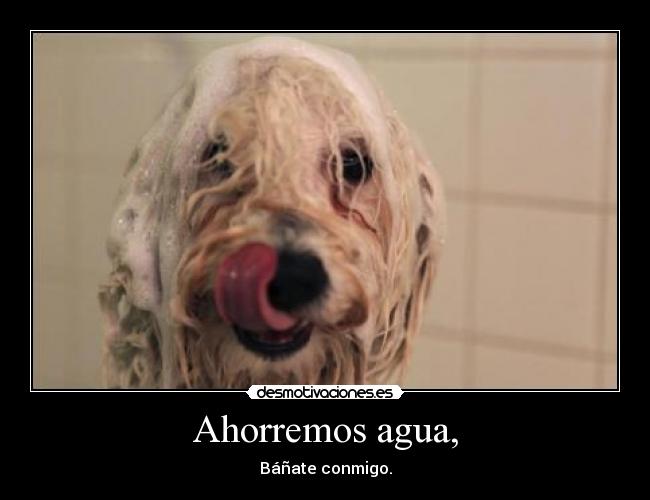 Ahorremos agua, - Báñate conmigo.