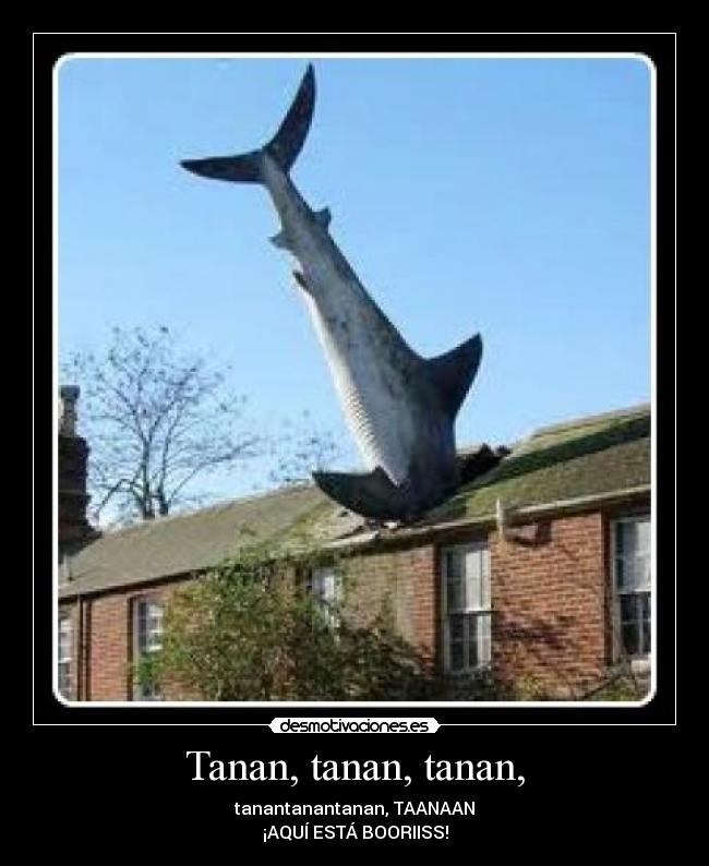 Tanan, tanan, tanan, - tanantanantanan, TAANAAN
¡AQUÍ ESTÁ BOORIISS!