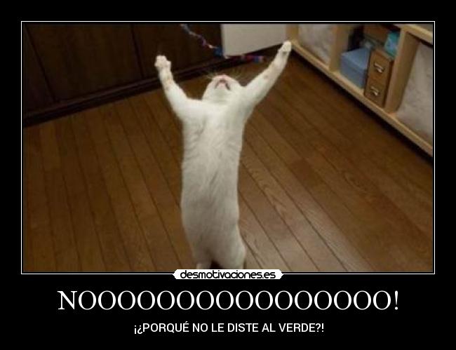 NOOOOOOOOOOOOOOOO! - 