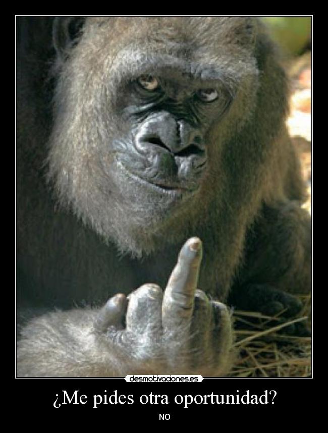 ¿Me pides otra oportunidad? - 