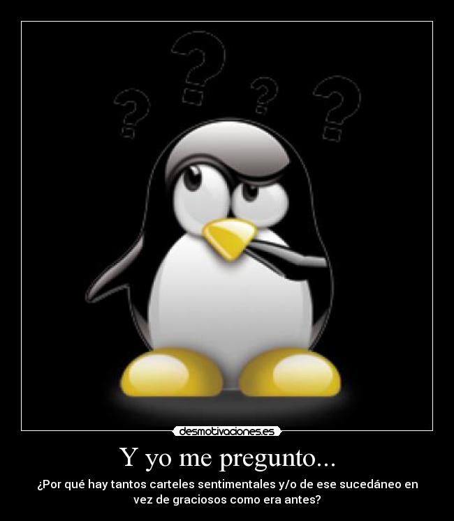 Y yo me pregunto... -