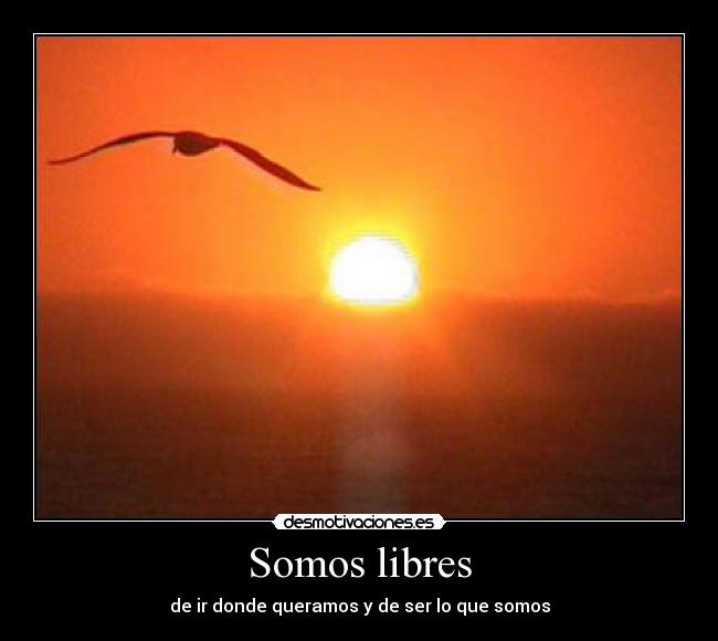 Somos libres -