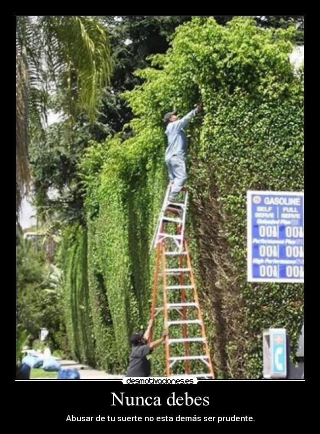carteles apuesto que foto cae desmotivaciones